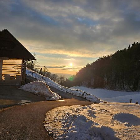 Tourist Farm Pr'Dovar Cerklje na Gorenjskem Luaran gambar