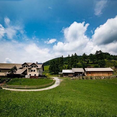 Tourist Farm Pr'Dovar Cerklje na Gorenjskem Luaran gambar