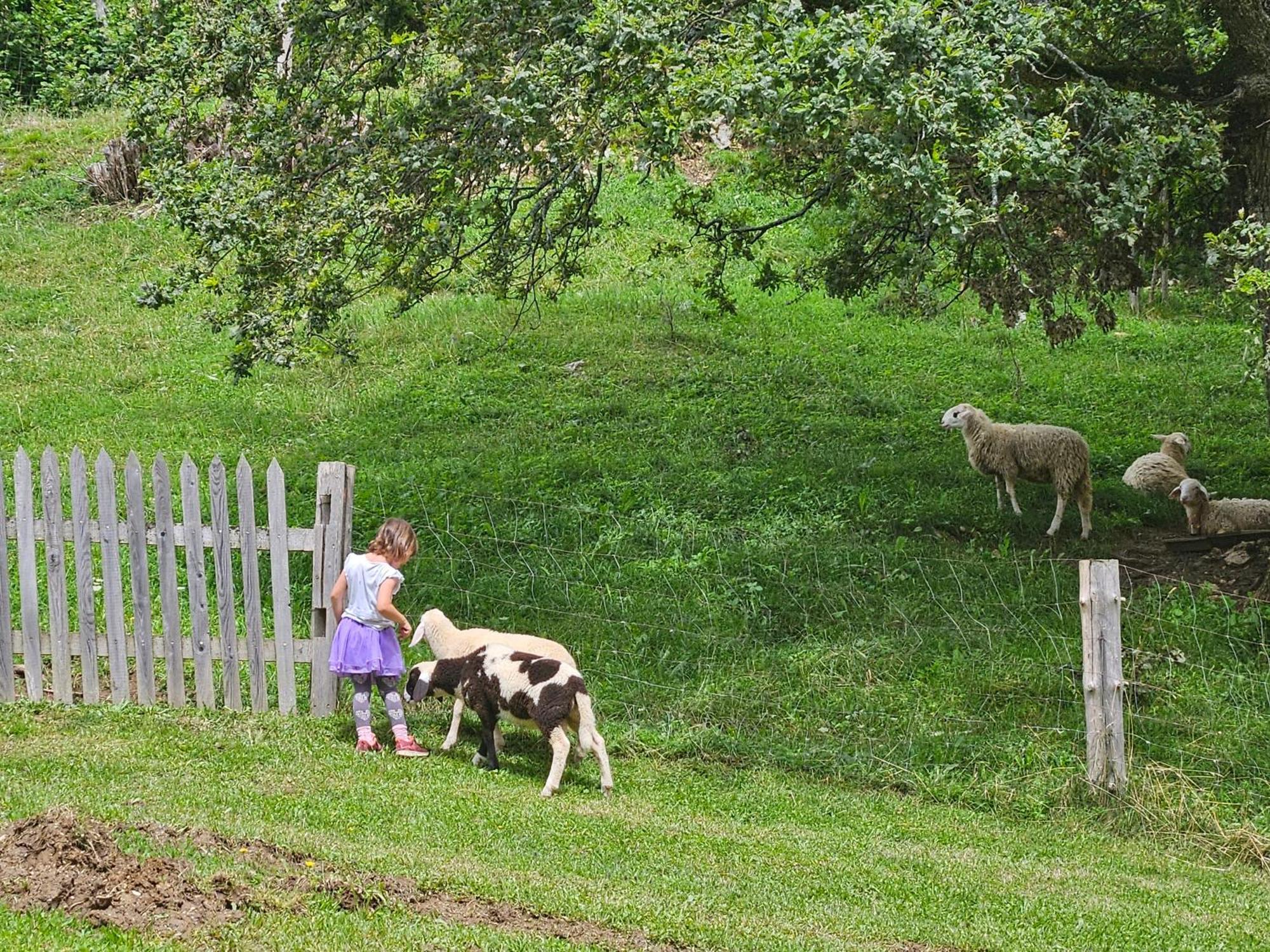 Tourist Farm Pr'Dovar Cerklje na Gorenjskem Luaran gambar