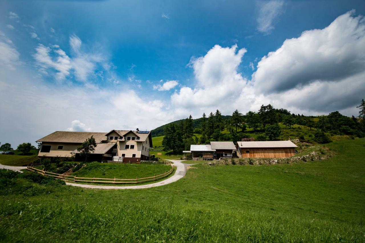 Tourist Farm Pr'Dovar Cerklje na Gorenjskem Luaran gambar